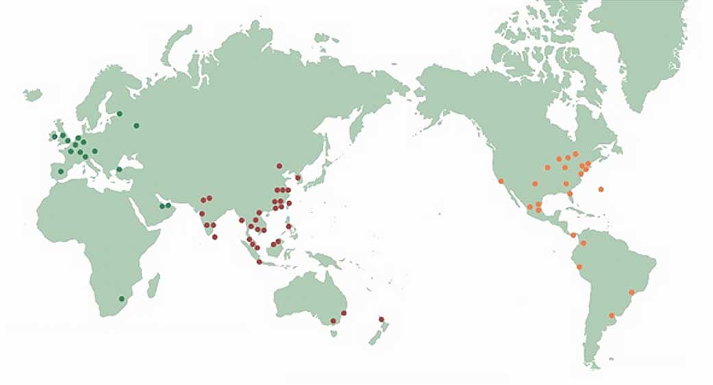 Overseas Network 지도 이미지
